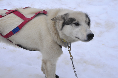 Melanie Heinrich Images - Alaska
